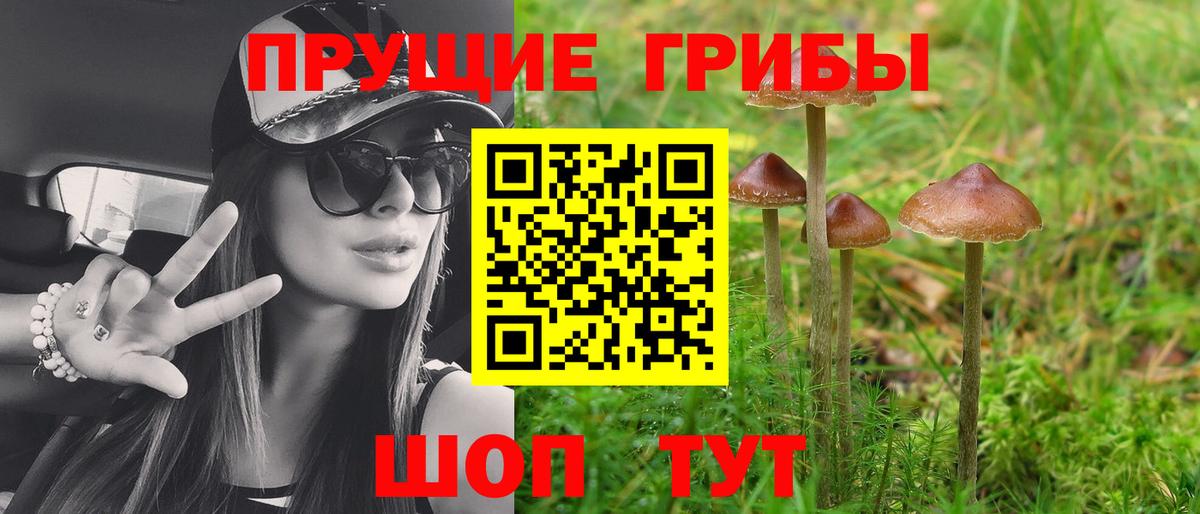 Псилоцибиновые грибы мицелий  Псилоцибиновые грибы ЛСД  Вход с VPN  Обь 